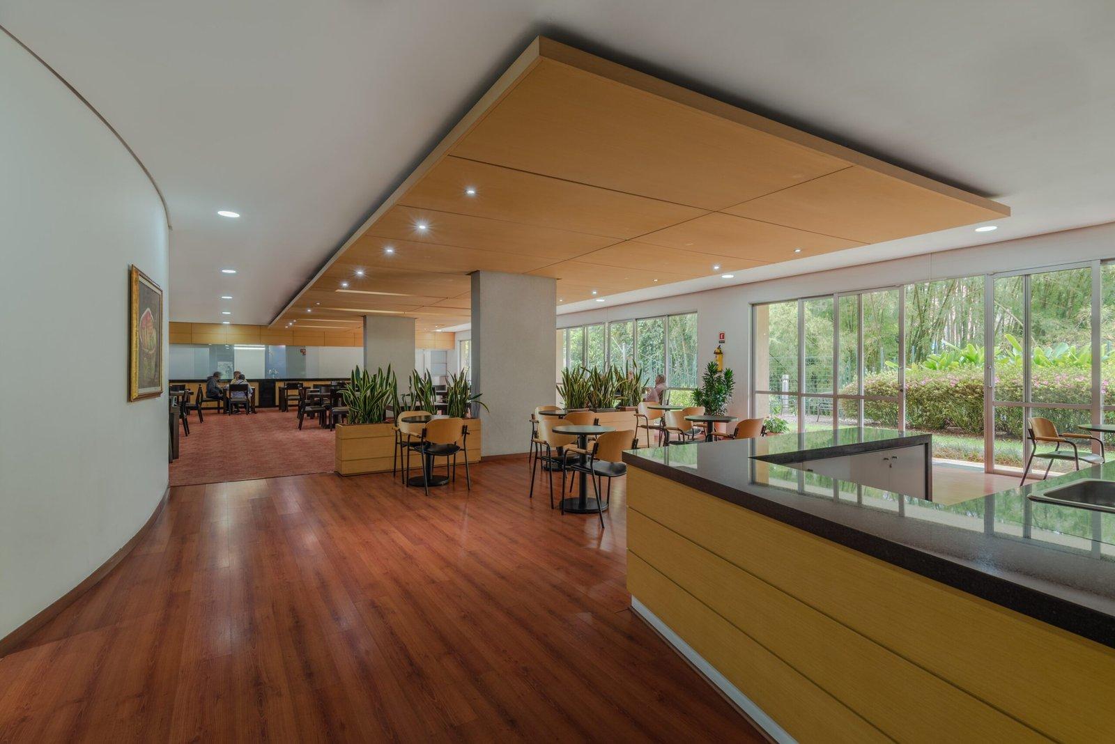 Seniors Club San Lucas